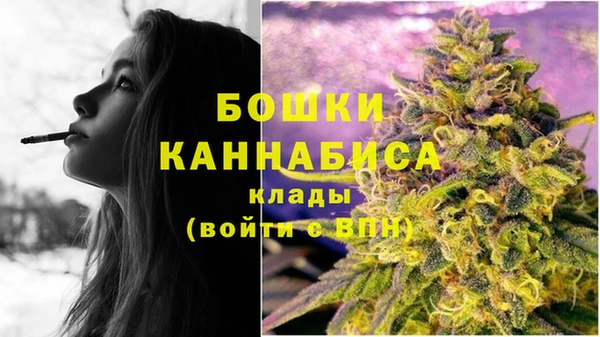соль ск Верея